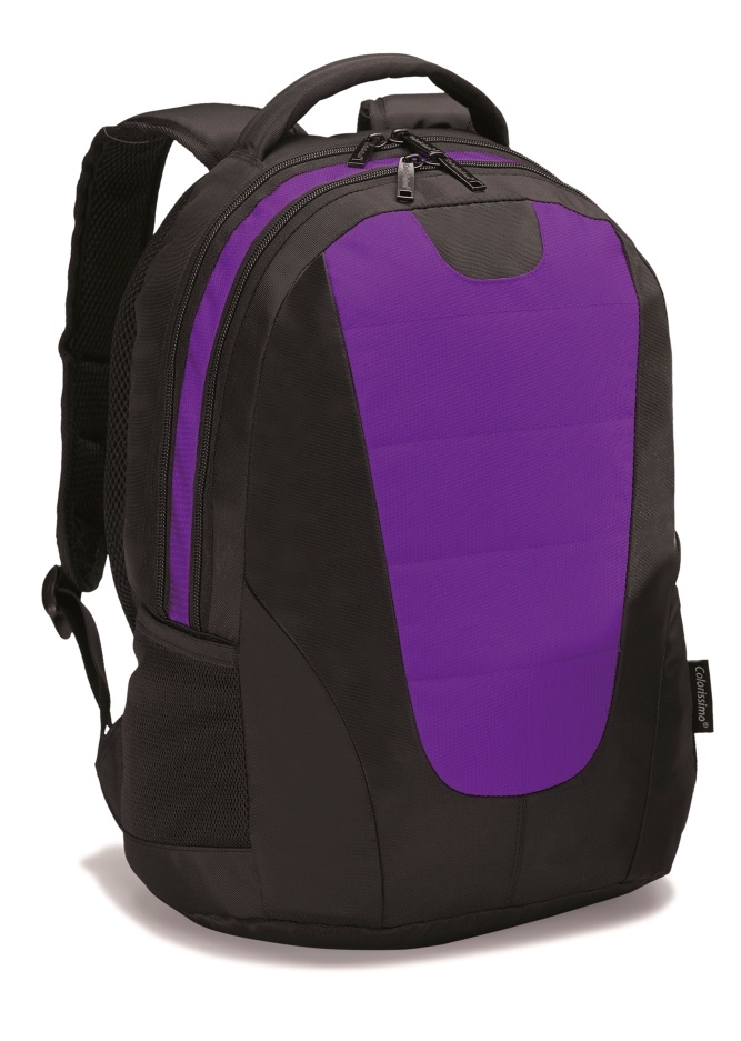 Logotrade reklaamtoote foto: ##Sülearvuti 14" seljakott Colorissimo, lilla
