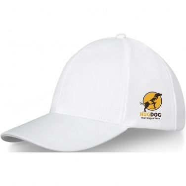 Logotrade Firmengeschenke das Foto: Drake Trucker Kappe mit 6 Segmenten