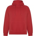 Vinson Kapuzenpullover Unisex, Rot