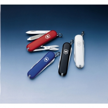 Logotrade Werbegeschenke das Foto: Taschenmesser Signature Lite Victorinox