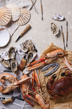 Logotrade Werbeartikel das Foto: VINGA "Story of Seafood"