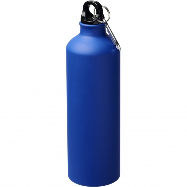 Logotrade promotional merchandise photo of: Oregon 770 ml matte water bottle with carabiner