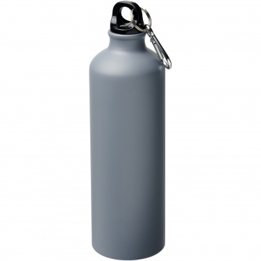 Logo trade promotional giveaway photo of: Oregon 770 ml matte water bottle with carabiner