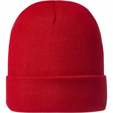 Logo trade promotional products picture of: Irwin beanie