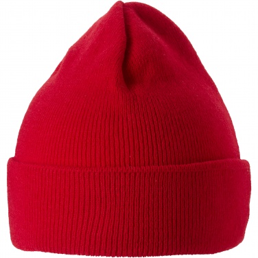 Logo trade promotional products picture of: Irwin beanie