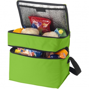 Logo trade promotional merchandise picture of: Oslo 2-zippered compartments cooler bag 13L