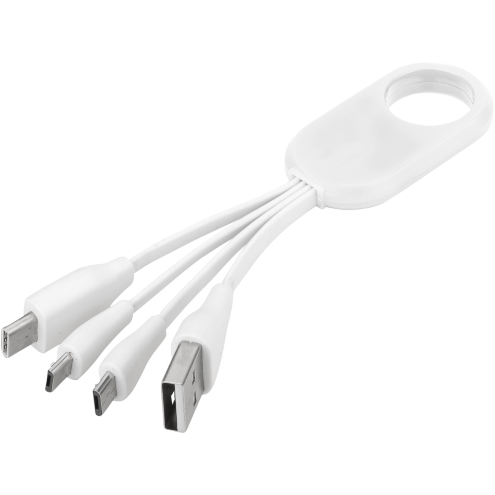 Logo trade promotional giveaways picture of: Troup 4-in-1 charging cable with type-C tip