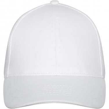 Logo trade advertising products image of: Drake 6 panel trucker cap