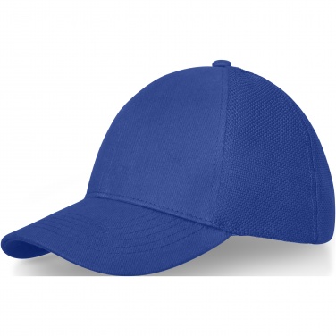 Logo trade promotional merchandise picture of: Drake 6 panel trucker cap