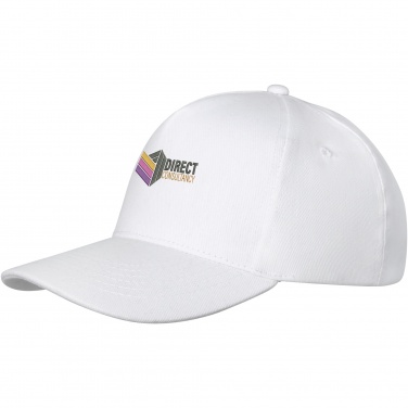 Logo trade promotional merchandise photo of: Doyle 5 panel cap