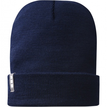 Logotrade promotional merchandise picture of: Hale Polylana® beanie