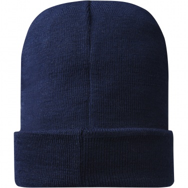 Logotrade promotional merchandise picture of: Hale Polylana® beanie