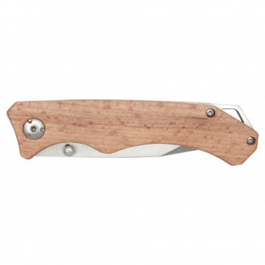 Logotrade business gift image of: Dave pocket knife with belt clip