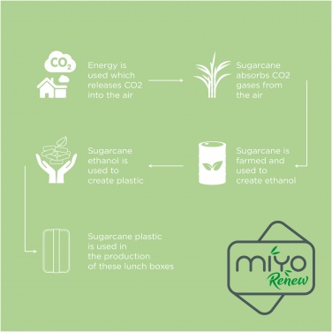 Logo trade promotional merchandise image of: MIYO Renew single layer lunch box