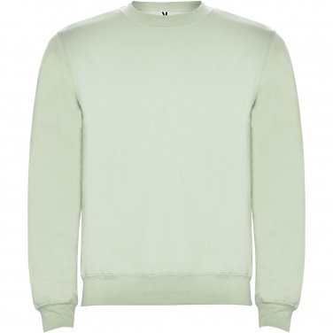 Logotrade promotional merchandise picture of: Clasica unisex crewneck sweater