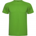 Montecarlo short sleeve kids sports t-shirt, Fern green