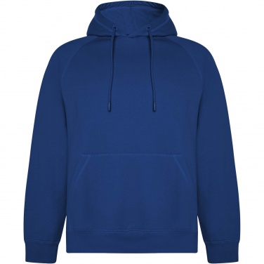 Logotrade promotional item picture of: Vinson unisex hoodie