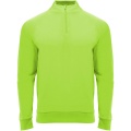 Epiro long sleeve unisex quarter zip sweatshirt, Fluor Green