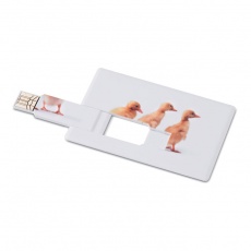 Creditcard. USB flash 4GB