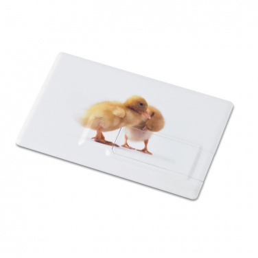 Logotrade promotional gift picture of: Creditcard. USB flash 4GB