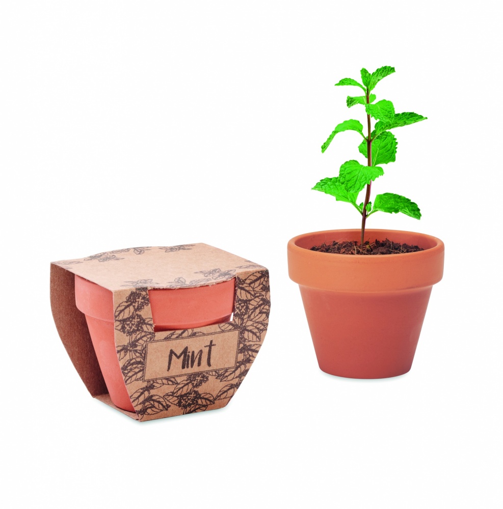 Logotrade promotional merchandise picture of: Terracotta pot mint seeds