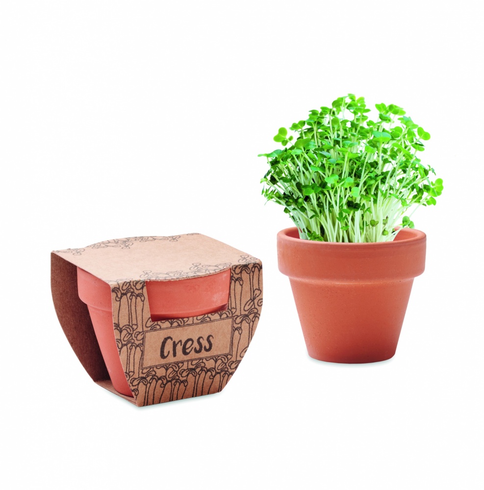 Logotrade advertising product image of: Terracotta pot cress seeds