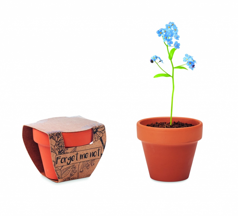 Logo trade promotional products image of: Terracotta pot 'forget me not'