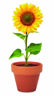 Logotrade promotional merchandise image of: Terracotta pot 'sunflower'