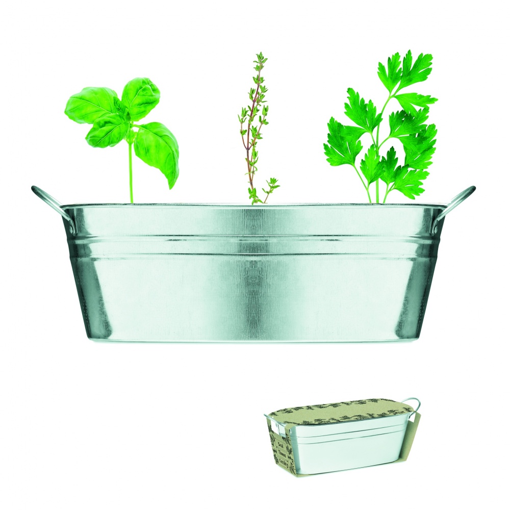 Logotrade promotional product image of: Zinc tub with 3 herbs seeds