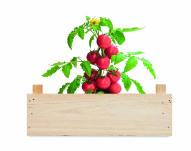 Logotrade corporate gifts photo of: Tomato kit in wooden crate