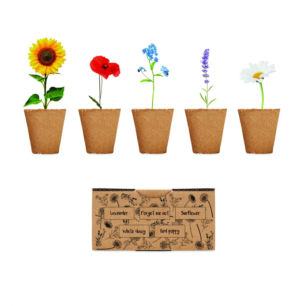 Logotrade promotional giveaway image of: Flowers growing kit