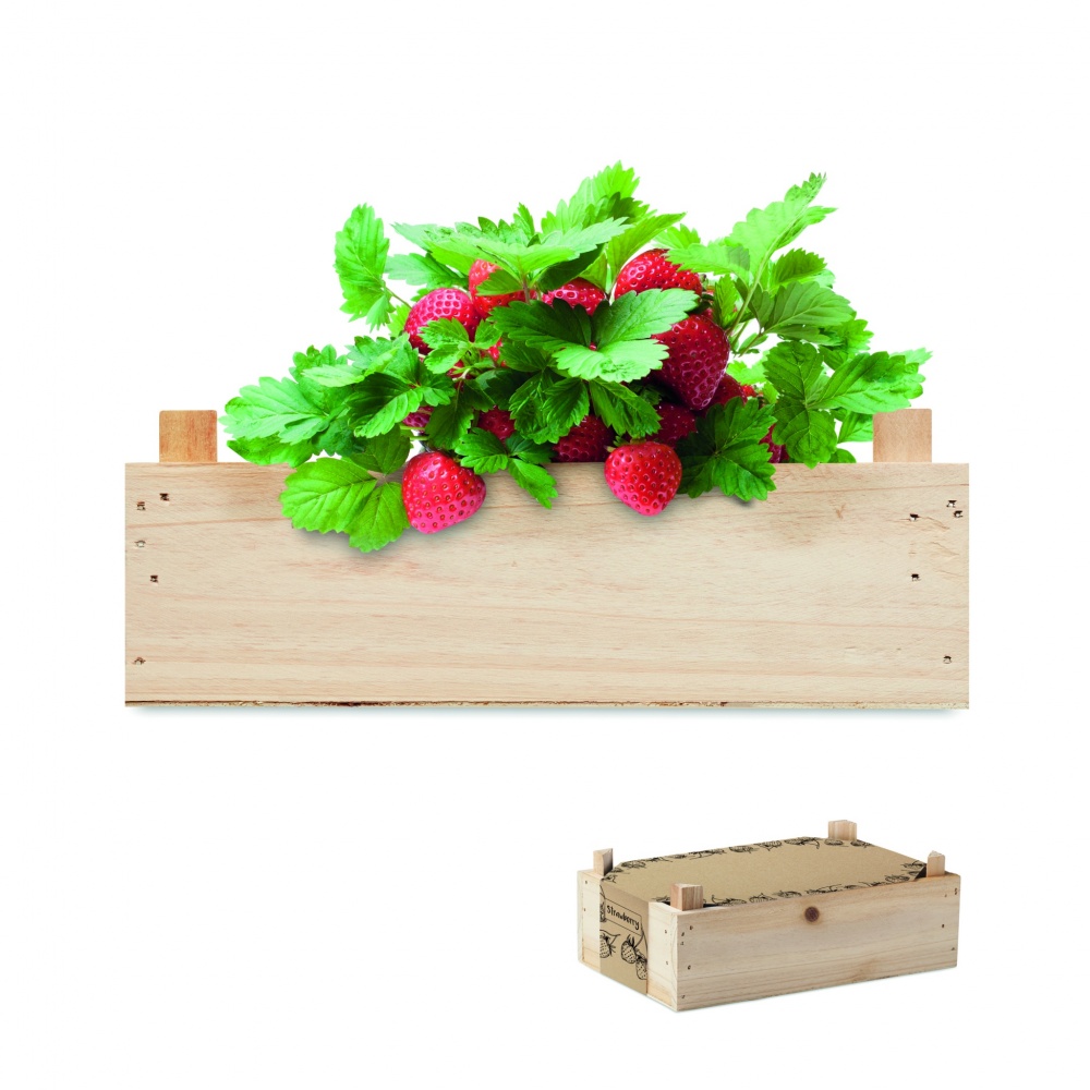 Logo trade corporate gifts image of: Strawberry kit in wooden crate