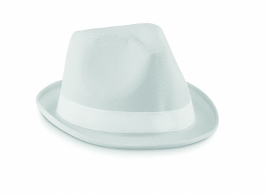 Logotrade promotional merchandise picture of: Coloured polyester hat