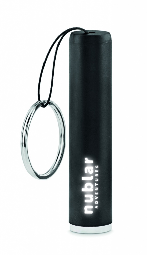 Logotrade promotional merchandise photo of: Plastic light up logo torch