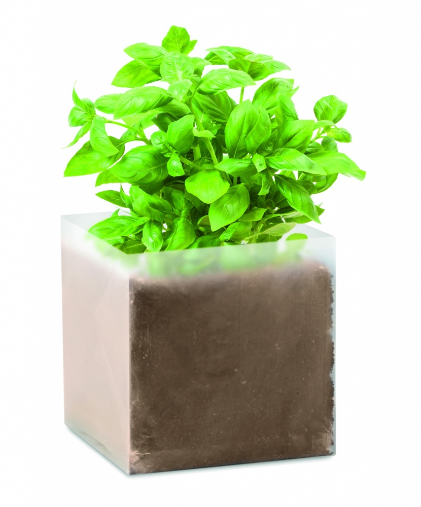 Logotrade promotional products photo of: Compost with seeds "BASIL"