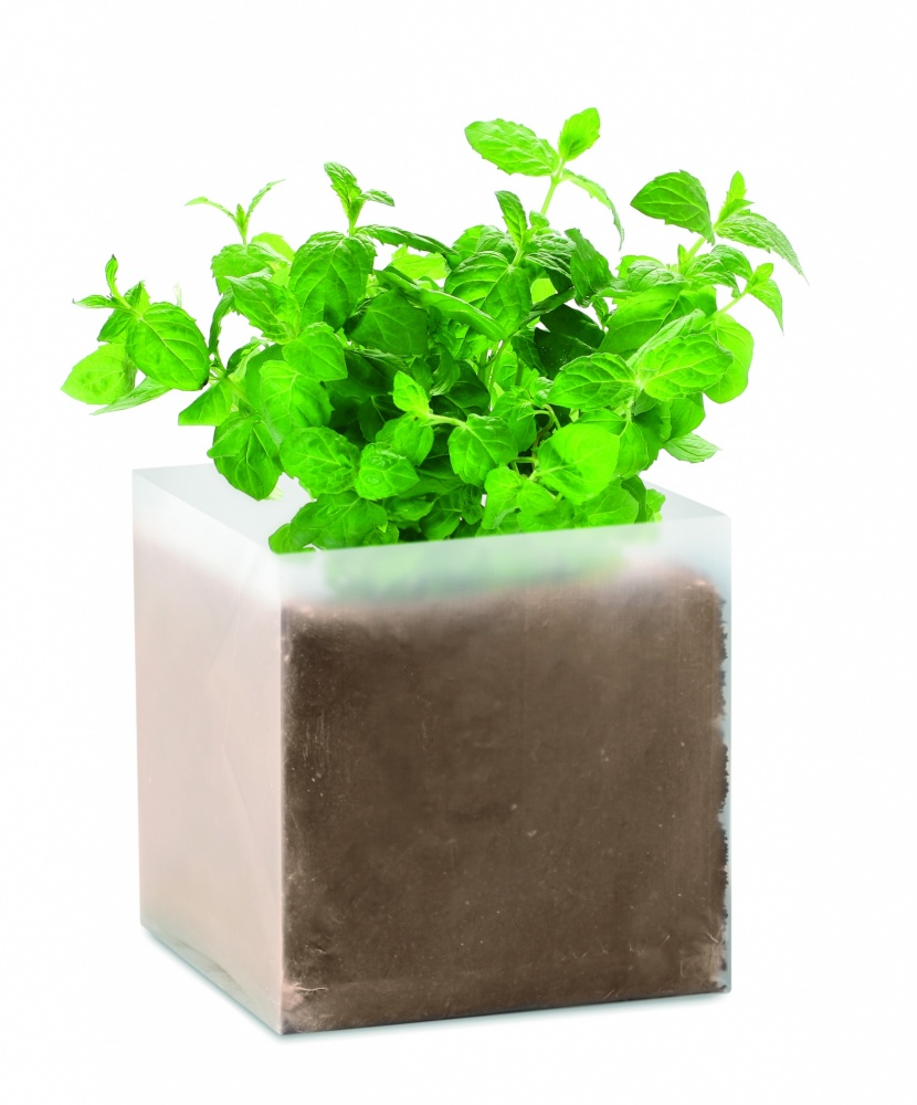 Logo trade corporate gifts image of: Compost with seeds "MINT"