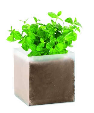 Logotrade promotional product image of: Compost with seeds "MINT"