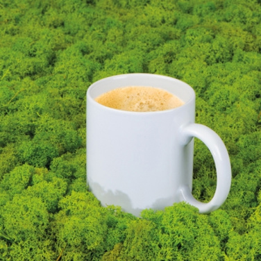 Logotrade corporate gift picture of: Ceramic mug MONZA 300 ml