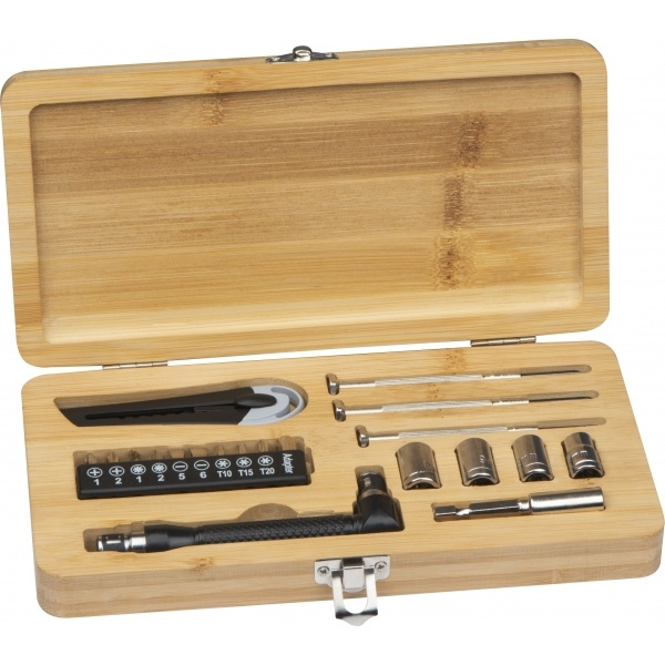 Logotrade promotional item picture of: 22-piece tool set BERINGEN