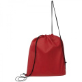 Gym bag SEOUL, red