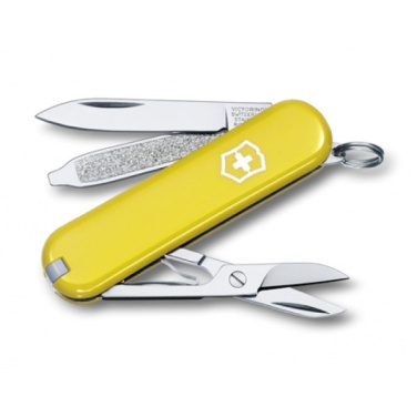 Logotrade promotional product picture of: Pocket knife CLASSIC SD Victorinox