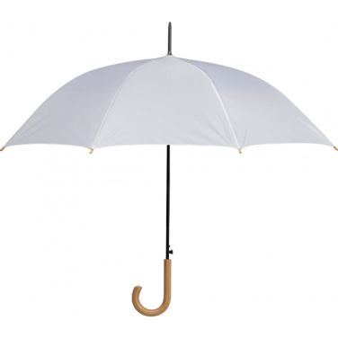 Logotrade promotional merchandise picture of: Automatic umbrella STOCKPORT