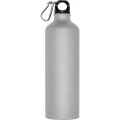 Drinking bottle CRANFORD 800 ml, grey