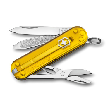 Logotrade advertising product picture of: Pocket knife Classic SD transparent Victorinox