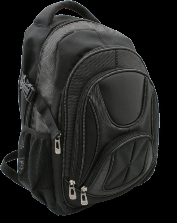 Logo trade promotional giveaway photo of: Laptop backpack 69903400