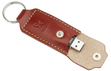 Logo trade promotional products picture of: Keyring 874067