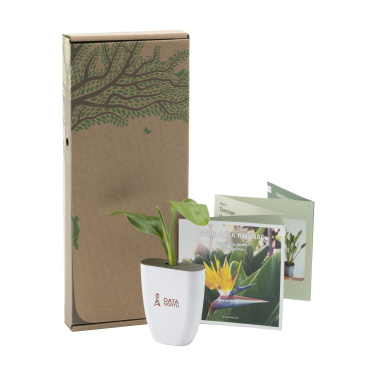 Logo trade promotional products image of: Treemore Letterbox Trees Bird of Paradise plant