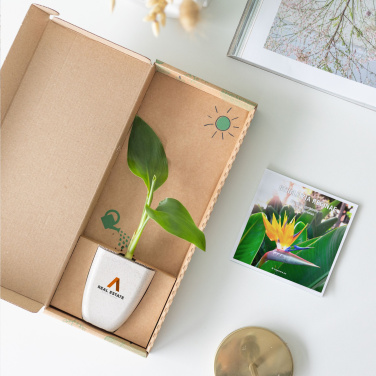 Logotrade advertising product image of: Treemore Letterbox Trees Bird of Paradise plant