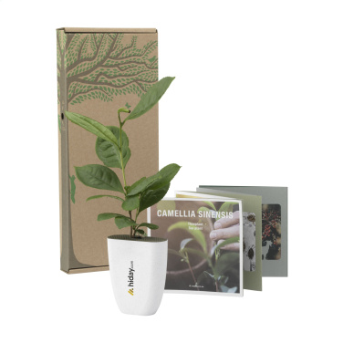 Logo trade promotional items picture of: Treemore Letterbox Trees Tea plant