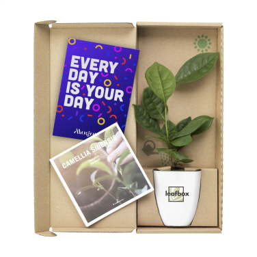 Logotrade promotional gift image of: Treemore Letterbox Trees Tea plant